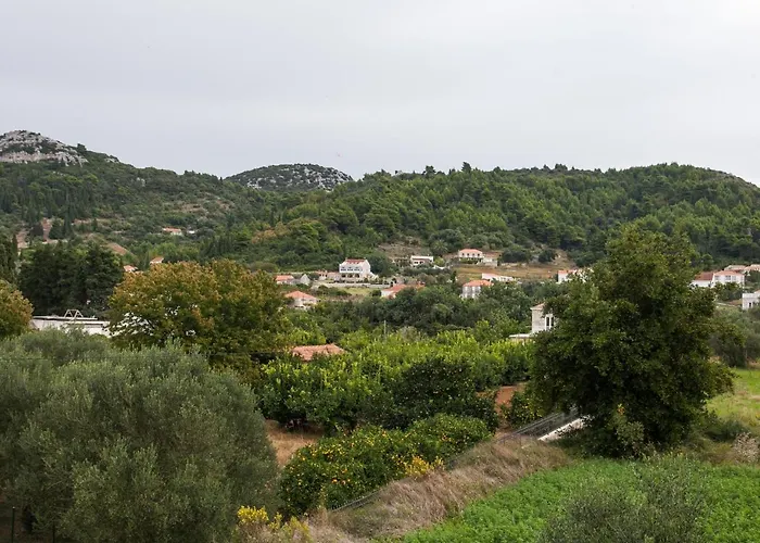 Maison d'hôtes Ana Lopud