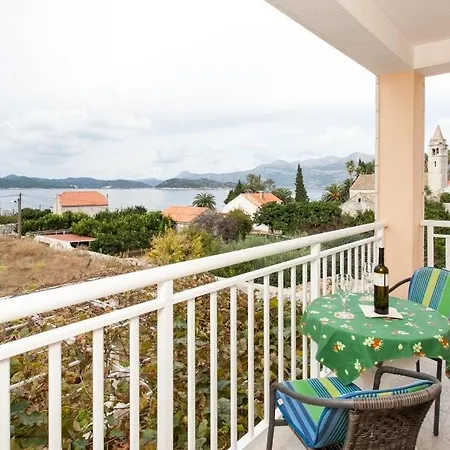 Guest house Ana 3*